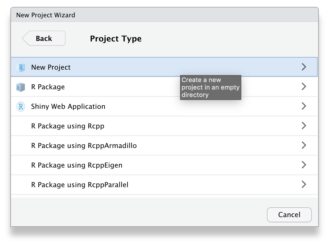 Next page of the New Project Wizard interface. There is a back button and the heading Project Type. There are 7 options: New Project, R Package, Shiny Application, Quarto Project, Quarto Website, Quarto Blog, and Quarto Book. The first option is highlighted with the help text `Create a new project in an empty directory.'