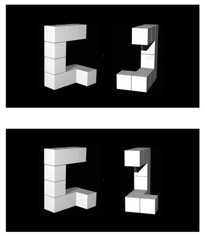 The Mental Rotation Task as shown in Ganis and Kievit (2016) Figure 1