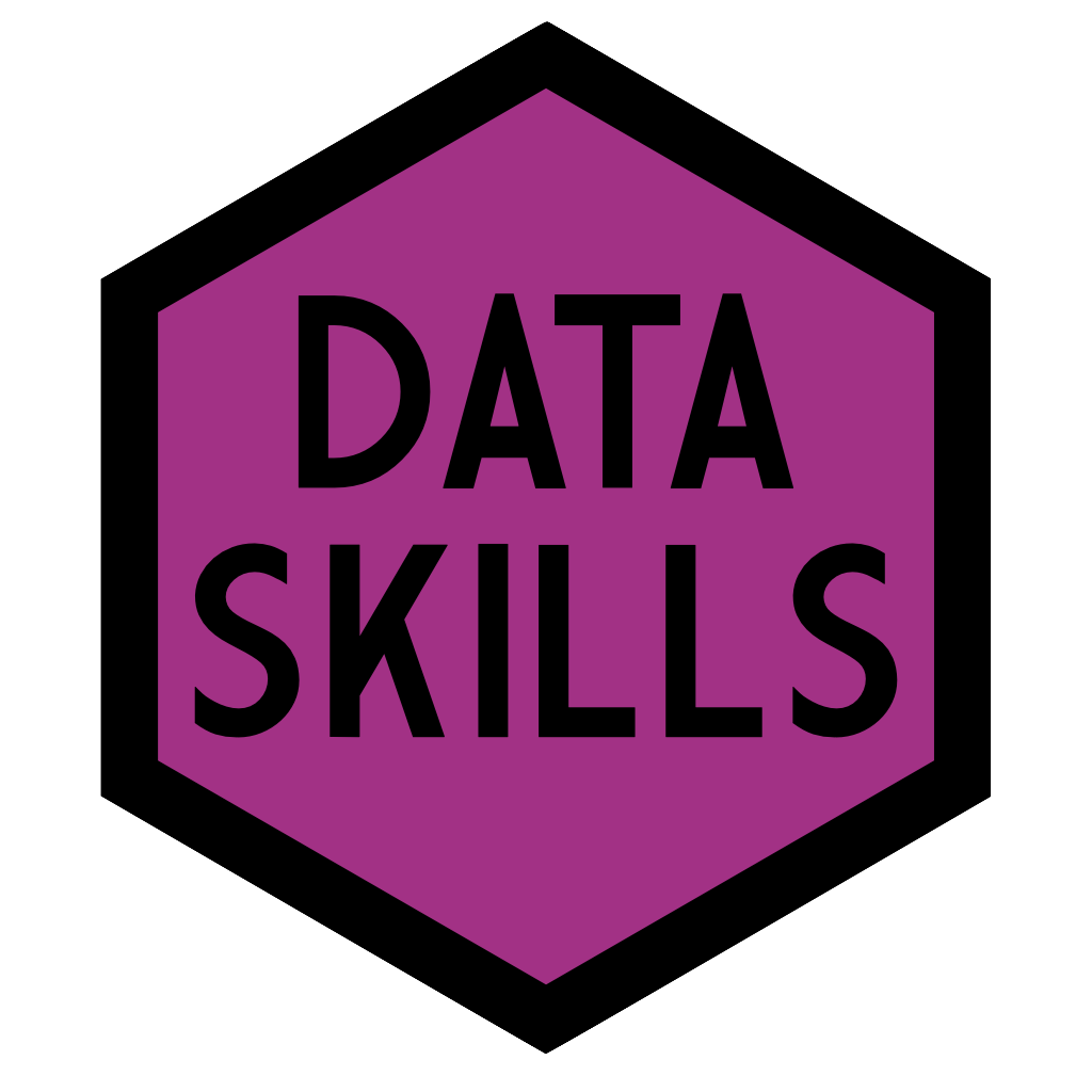 Data skills Logo