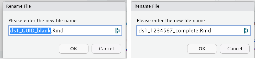 Renaming your file