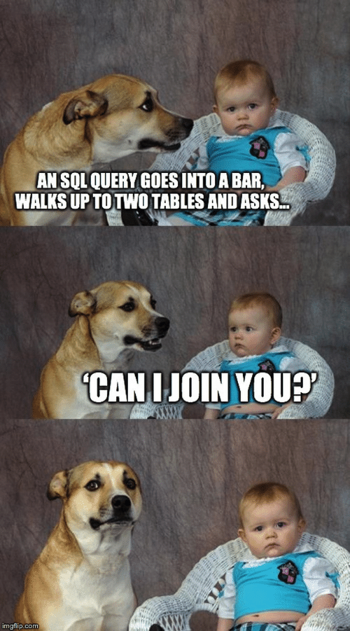3-panel meme. 1: dog looks at a baby in a chair, text reads 'An SQL query goes into a bar, walks up to two tables and asks...'; 2: baby looks at dog, text reads 'Can I join you?'; 3: dog and baby look at camera, no text