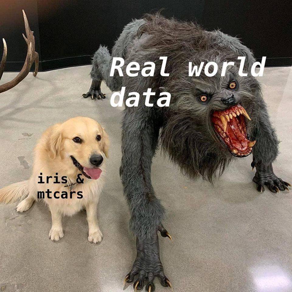A cute golden retriever labelled 'iris & mtcars' and a scary werewolf labelled 'Real world data'