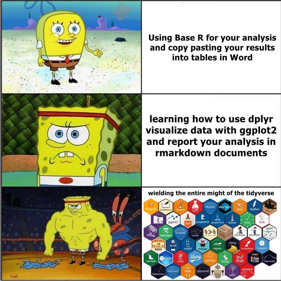 Top left: young spongebob; top right: Using Base R for your analysis and copy pasting yur results into tables in Word; middle left: older angry spongebob in workout clothes; middle right: learning how to use dplyr visualize data with ggplot2 and report your analysis in rmarkdown documents; bottom left: muscular spongebob shirtless in a boxing ring; bottom right: wielding the entire might of the tidyverse (with 50 hex stikers)