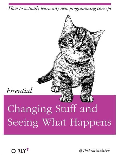 Fake O'Reilly-style book cover, line drawing of a kitten; title: Changing Stuff and Seeing What Happens; top text: How to actually learn any new programming concept