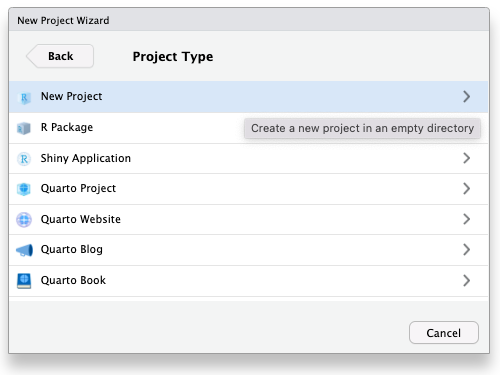 Next page of the New Project Wizard interface. There is a back button and the heading Project Type. There are 7 optins: New Project, R Package, Shiny Application, Quarto Project, Quarto Website, Quarto Blog, and Quarto Book. The first option is highlighted with the help text `Create a new project in an empty directory.'